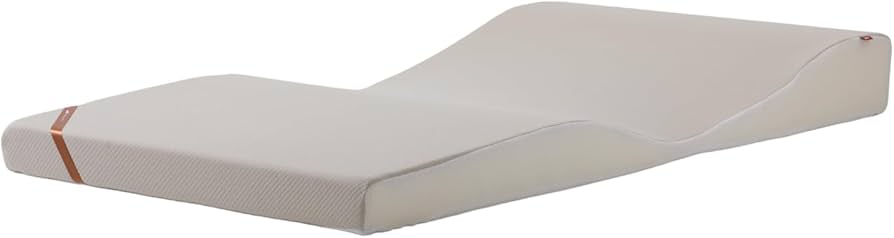 Amazon.co.jp: [NELUD] NP腰眠マットレス ネルディ マットレス 寝具