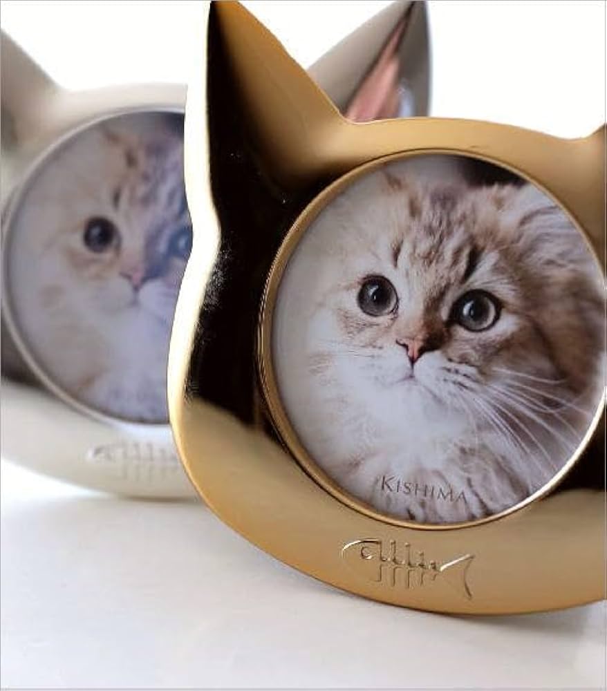 Amazon.co.jp: フォトフレーム 卓上 写真立て 猫 ねこ ネコ おしゃれ