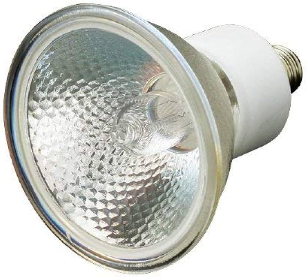 41LapQ5vQKL._AC_UF1000,