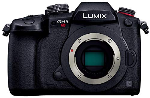 Amazon.co.jp: パナソニック ミラーレス一眼カメラ ルミックス GH5S