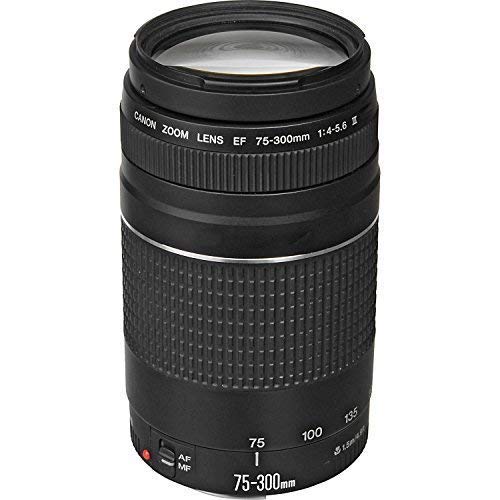 Amazon.com : Canon EF 75-300mm f/4-5.6 III Telephoto Zoom Lens for