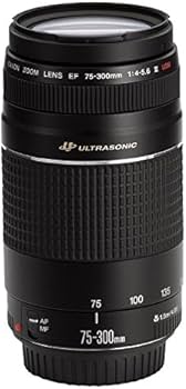 Amazon.com : Canon 75-300mm F4-5.6 III EF Lens (Non-USM) : Camera