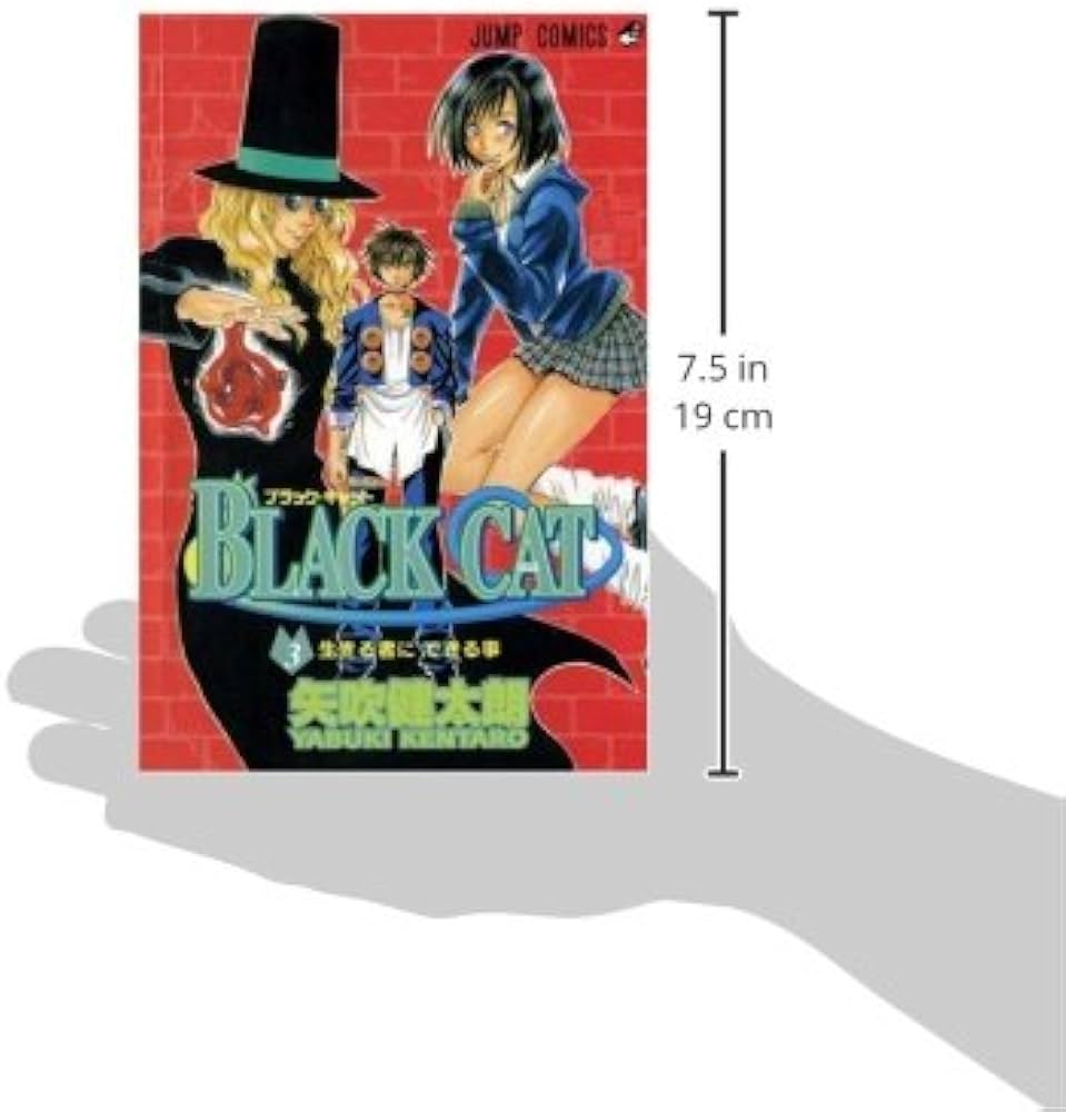Black Cat, Vol. 3 (3): Yabuki, Kentaro: 9781421506074: Amazon.com