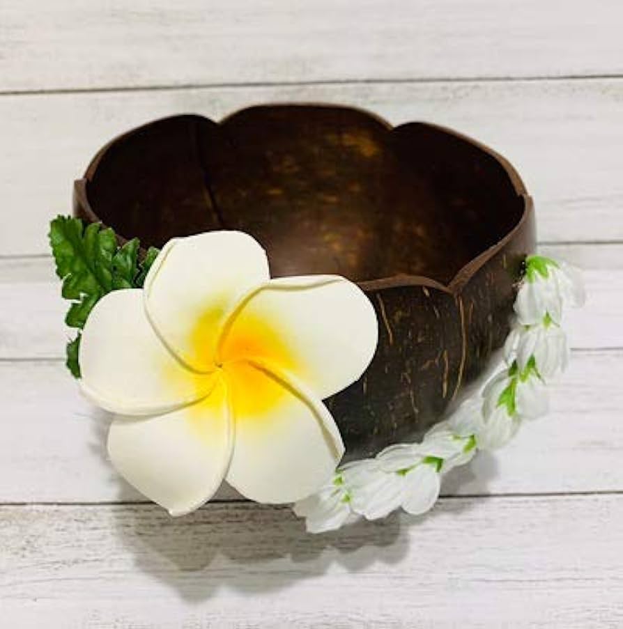 Amazon.co.jp: 天然ココナッツ使用*スタンド小物入れ*ピカケ