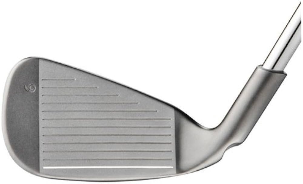 Amazon.co.jp: ピン Ping G25 アイアン 6本セット CFS MAX/CFS CFS R