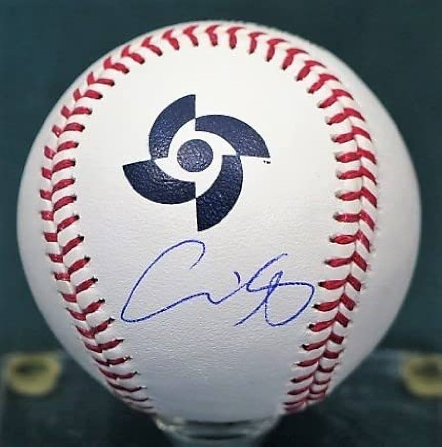 し*く様 サインバランス完璧！2023WBC大会前に書かれた大谷翔平選手