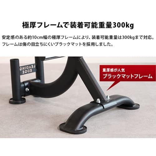 Amazon.co.jp: [リーディングエッジ] プレートラック ダンベルプレート