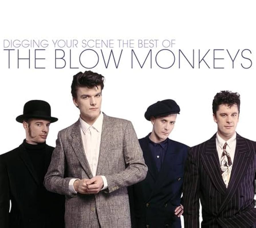 Digging Your Scene: The Best of The Blow Monkeys: Amazon.co.uk