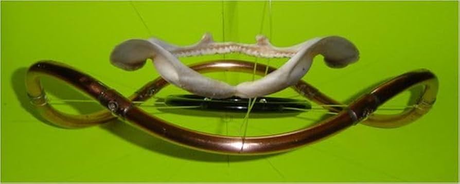 Amazon.co.jp: 四角ウィール使用 サーフスケート サーフスケートボード