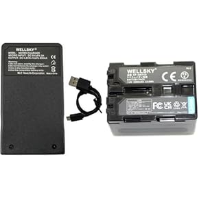 Amazon.co.jp: ビデオカメラ用バッテリー＆充電器セット - バッテリー