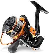 Amazon | サンライク（SANLIKE) スピニングリール エギングリール 15KG