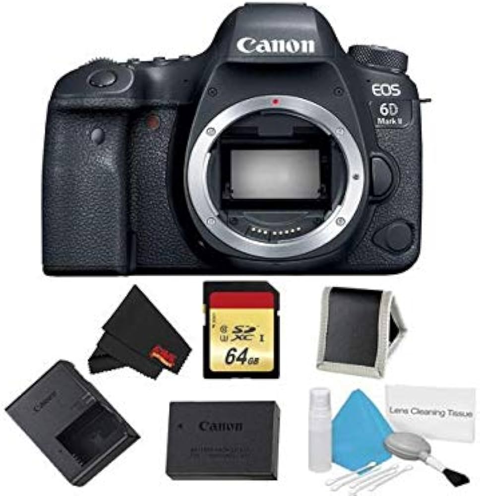 キヤノン EOS 6D mark2 美品完動品 付属品全部 ショット数57450
