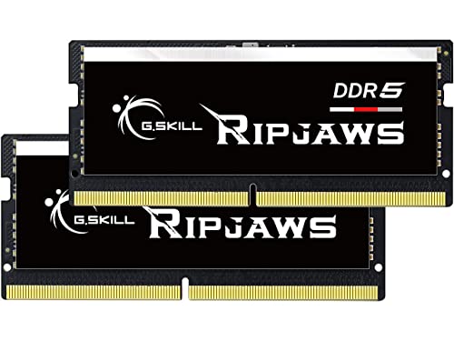 Amazon.co.jp: G.SKILL 32GB Ripjaws DDR5 SO-DIMM 4800MHz CL34 1.10V