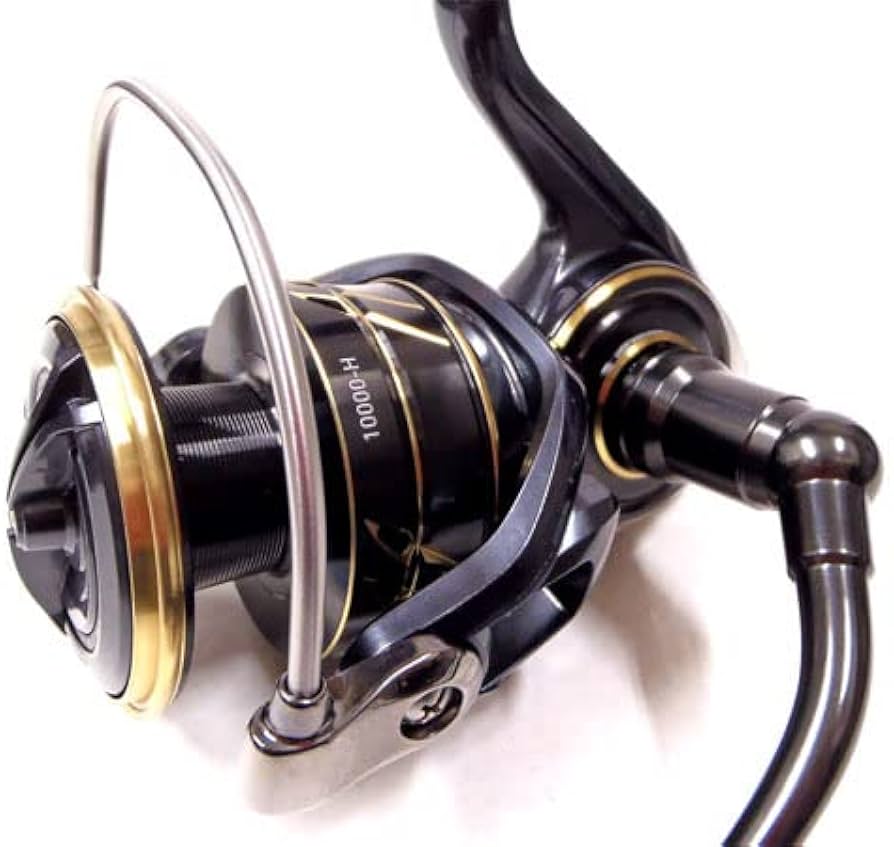 Amazon.co.jp: DAIWA 22CALDIA SW カルディアSW 10000-H : スポーツ