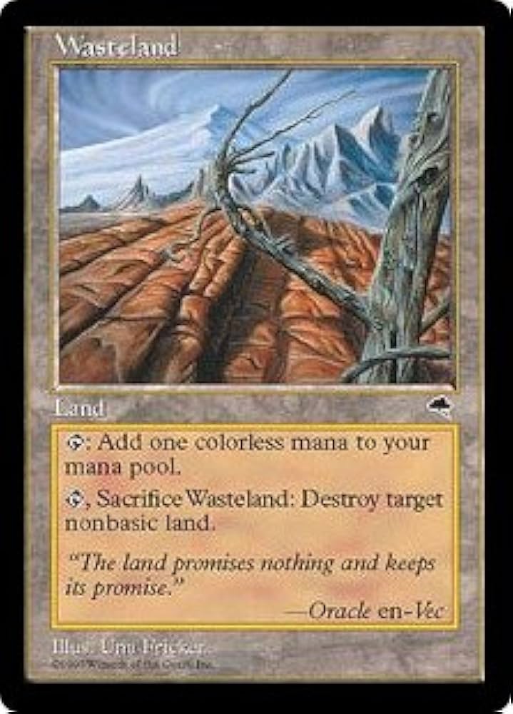 Amazon.co.jp: 英語版 テンペスト Tempest TMP 不毛の大地 Wasteland