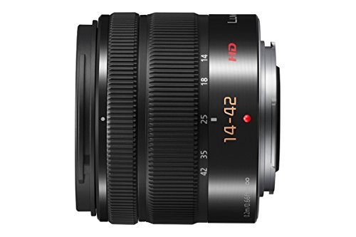 Amazon.com : Panasonic LUMIX G Vario 14-42mm / F3.5-5.6 II ASPH