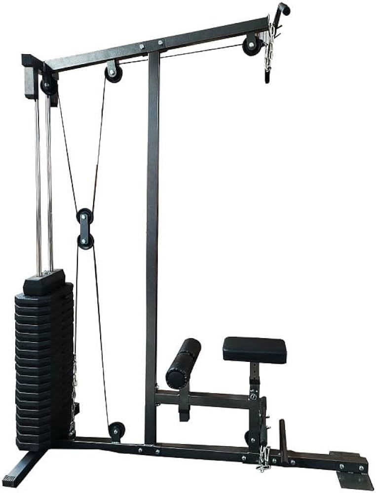 Amazon | 【FIGHTING ROAD】 ラットマシンDX（準業務用） 背中トレ