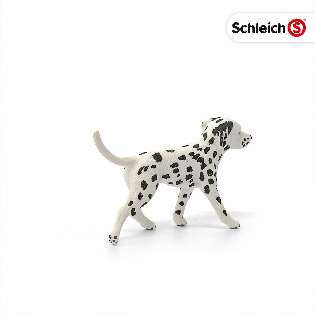 Amazon.co.jp: シュライヒ ファームワールド ダルメシアン (オス
