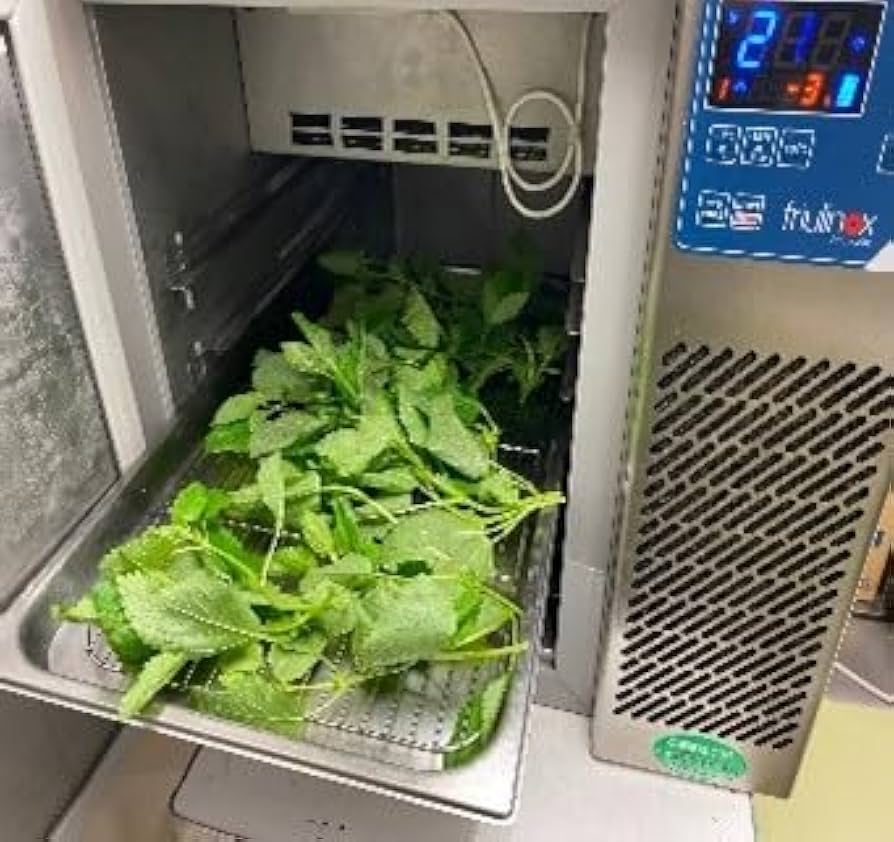 41a0qlqaAyL._AC_UF894,