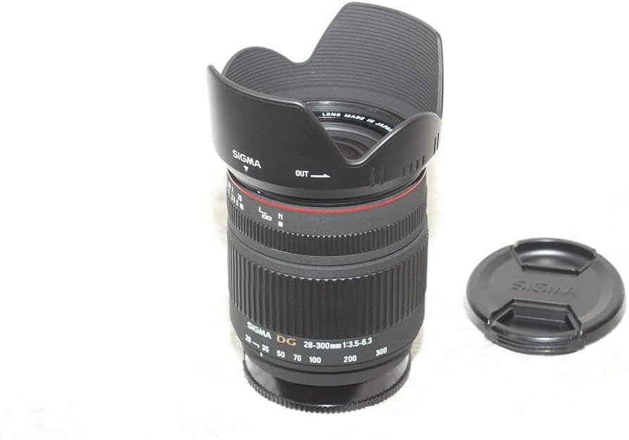 Amazon.com : Sigma 28-300mm f/3.5-6.3 DG IF Macro Aspherical Lens