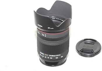 Amazon.co.jp: シグマ 28-300mm F3.5-6.3 DG MACRO ソニー用 : 家電