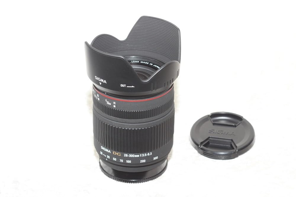Amazon.co.jp: シグマ 28-300mm F3.5-6.3 DG MACRO ソニー用 : 家電