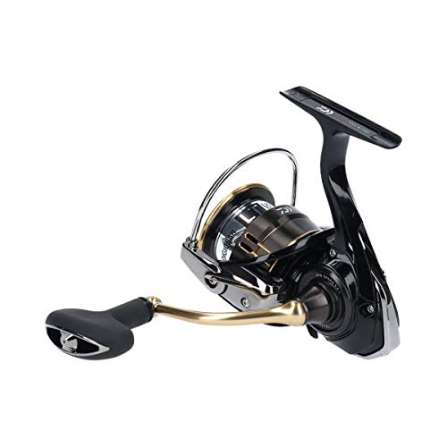 辛口リールマニアが唸った！ダイワ「19バリスティック」を