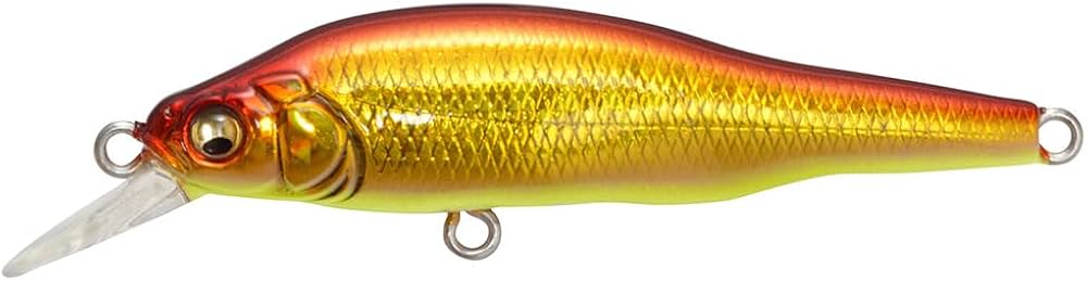 Amazon.co.jp: メガバス(Megabass) ミノー X-80Jr.SW GG アカキン