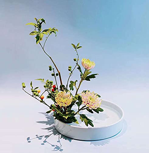 Amazon.co.jp: Fukuka 花器 水盤 25CM フラワーベース 花瓶生け花