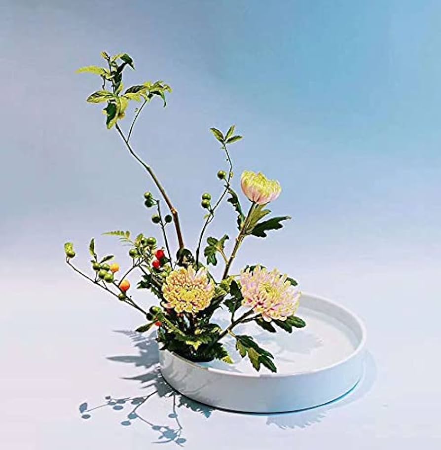 Amazon.co.jp: Fukuka 花器 水盤 25CM フラワーベース 花瓶生け花
