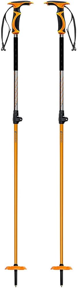 Amazon | SINANO(シナノ) スキーポール 2024 FAST BC カーボン