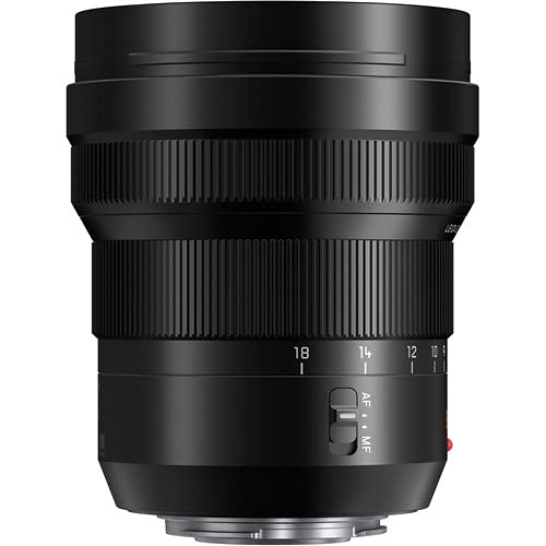 Amazon.com : Panasonic Leica DG Vario-Elmarit 8-18mm f/2.8-4 ASPH