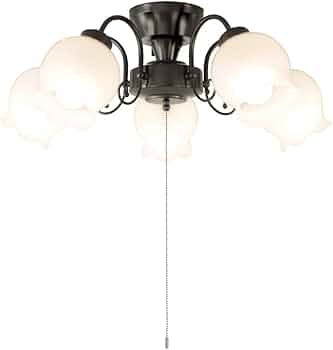 41d3WghAE5L._AC_UF350,