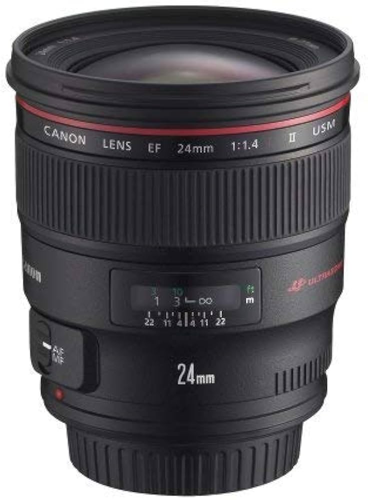 Amazon.com : Canon EF 24mm f/1.4L II USM Wide Angle Lens - Fixed