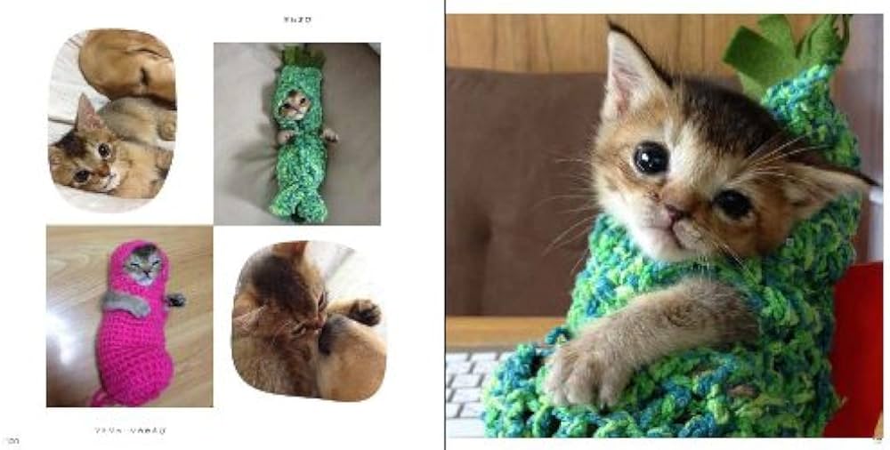 41dgvsB+yML._AC_UF1000,