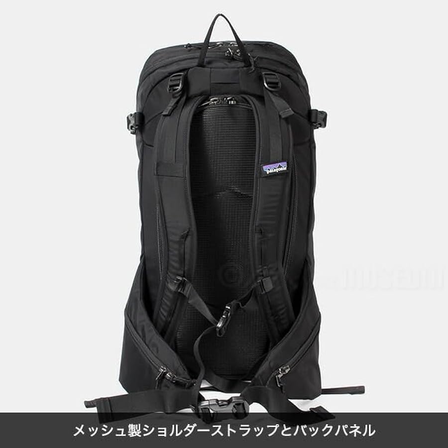Amazon | [パタゴニア] バックパック デイパック リュック SNOW