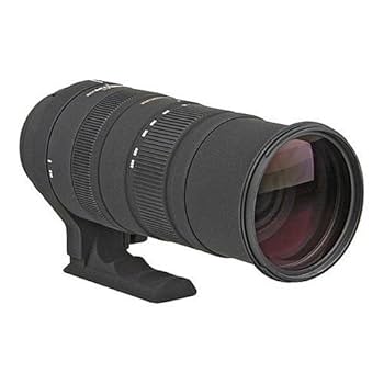 ❁大迫力❁SIGMA DG 150-500mm APO OS HSM CANON 【公式通販】