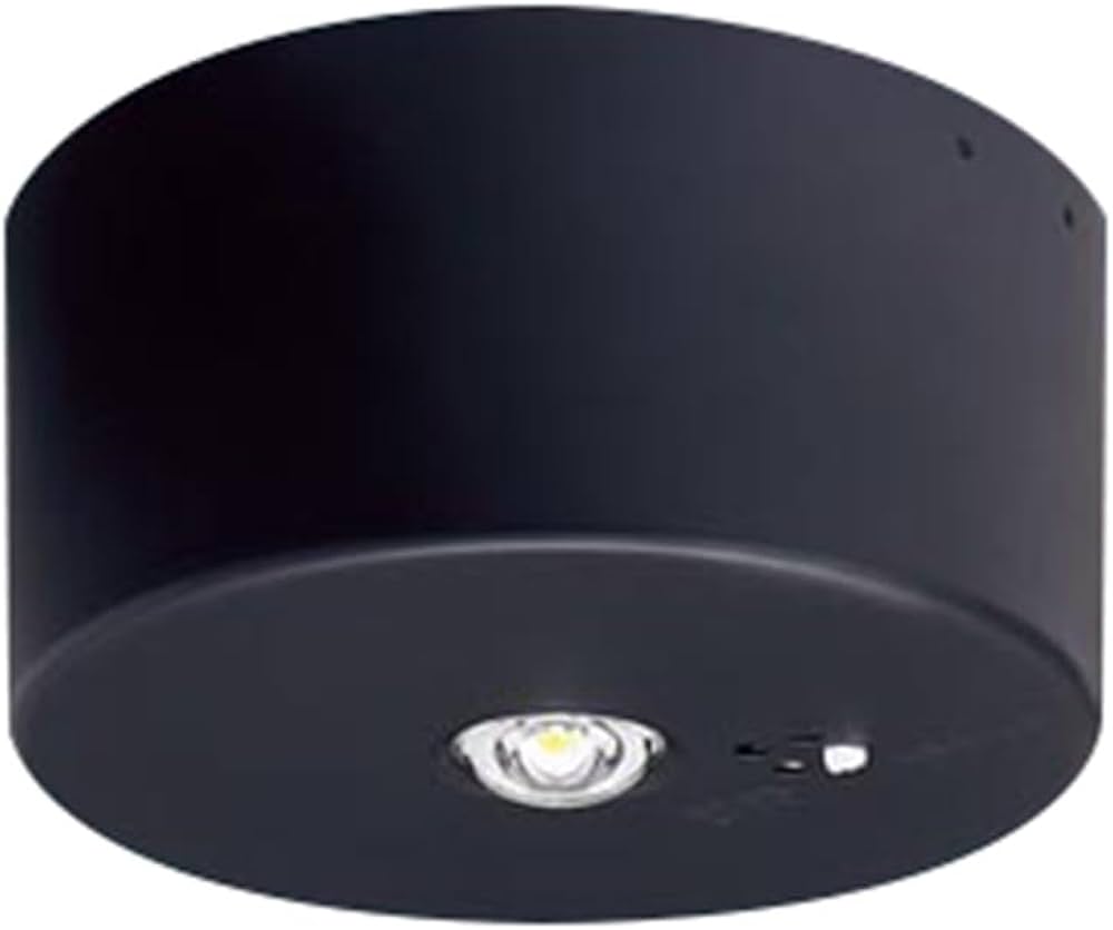 Amazon | パナソニック(Panasonic) 天井直付型 LED 昼白色 非常用照明