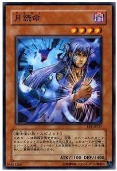 41eNvVzx3EL._AC_UF350,