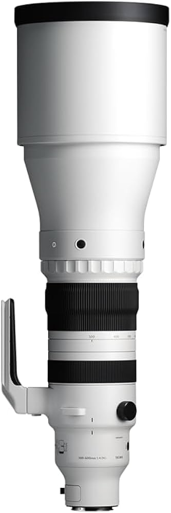 Sigma 300-600mm f/4 DG OS Sports Lens for Sony E : Amazon.in