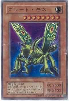 41fR09+5LYL._AC_UF350,