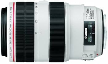 Amazon.com : USED Canon 70-300mm F4-5.6 L IS USM Lens : Camera