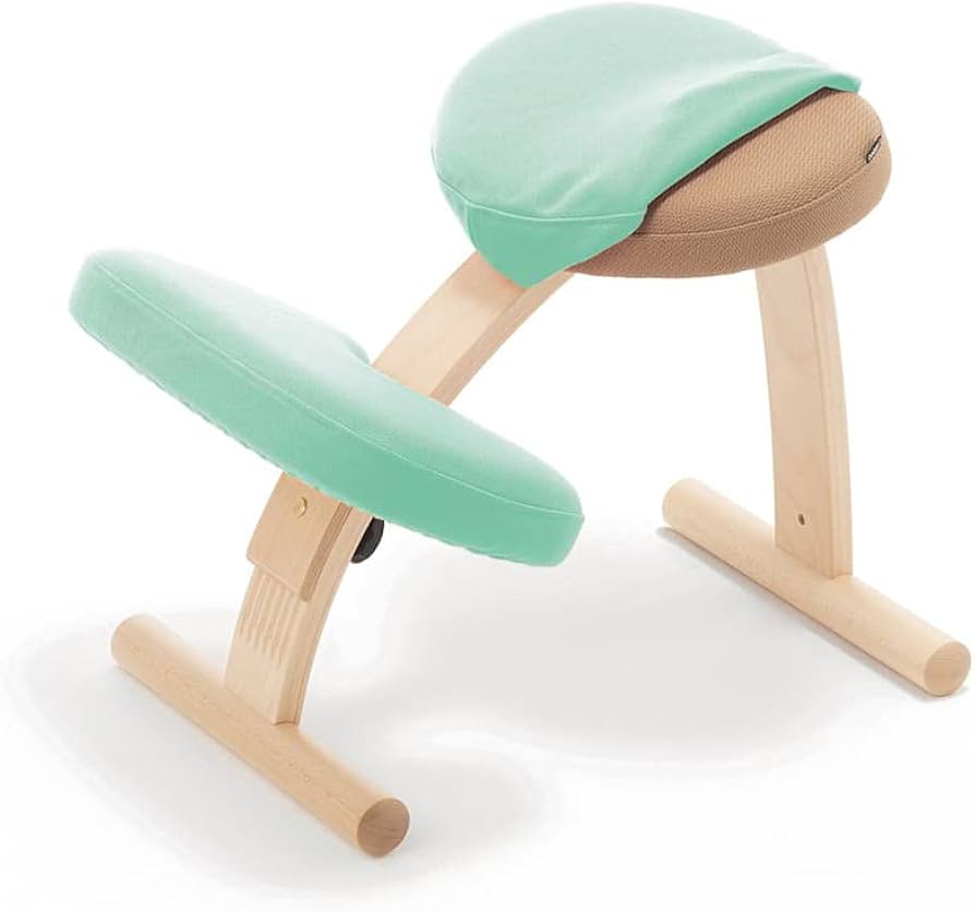 Amazon.co.jp: バランスラボ バランスイージー専用きせかえカバーnew