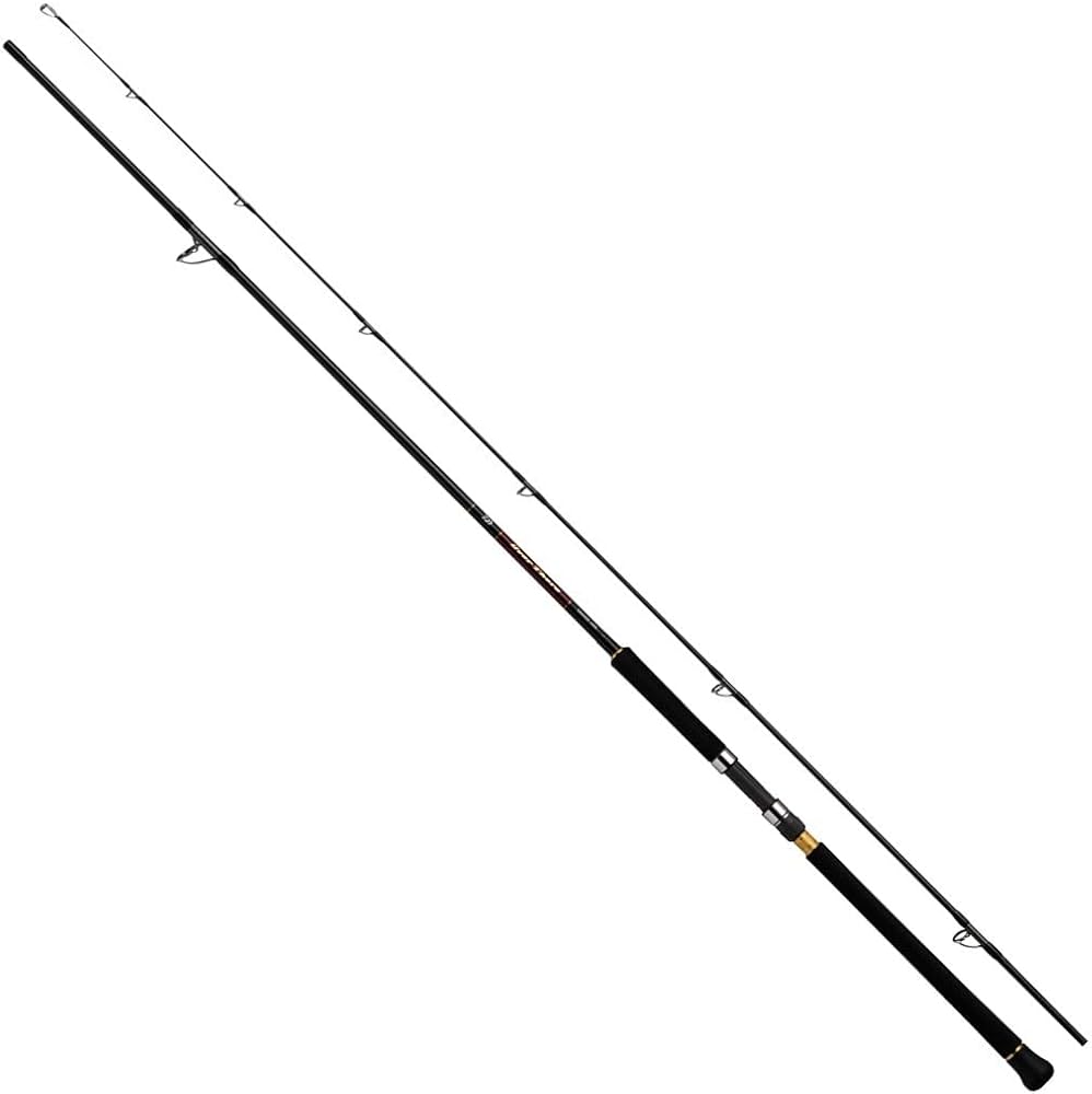 Amazon | ダイワ(DAIWA) ロッド 21 オーバーゼア グランデ 99H