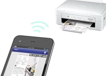 Amazon.co.jp: EPSON インクジェット複合機 Colorio PX-046A 無線 有線