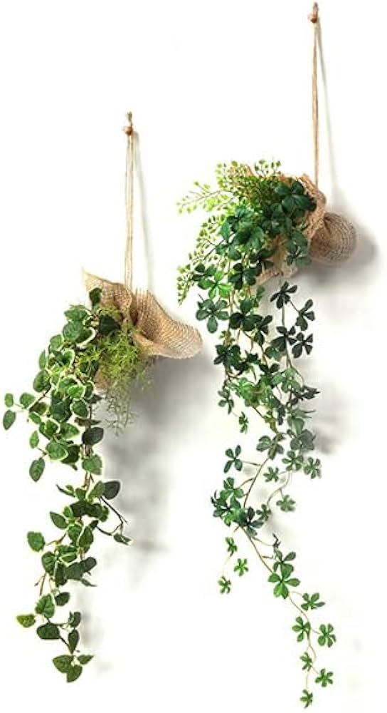 Amazon｜GREENPARK 消臭ハンギンググリーン 2個セットA 観葉植物