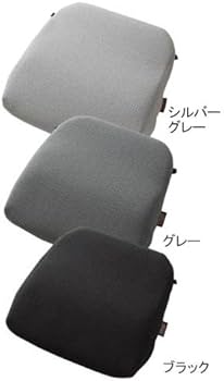 Amazon.co.jp: 三進興産 ソルボらく楽ランバーサポート ブラック