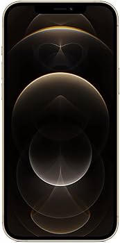 Amazon.com: Apple iPhone 12 Pro Max 5G, US Version, 256GB, Gold