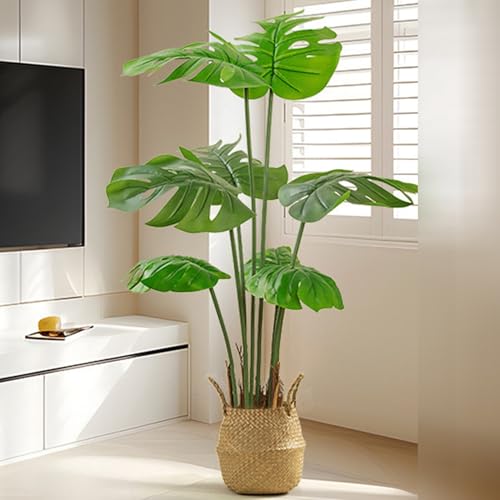 観葉植物 モンステラ 大型」の人気商品一覧 | 安い商品を通販サイト