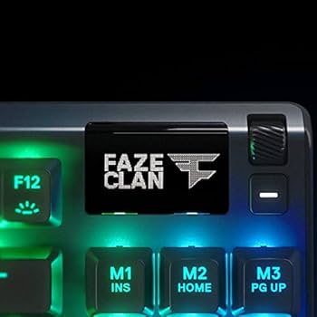 Amazon.co.jp: SteelSeries ゲーミングキーボード テンキーレス 青軸